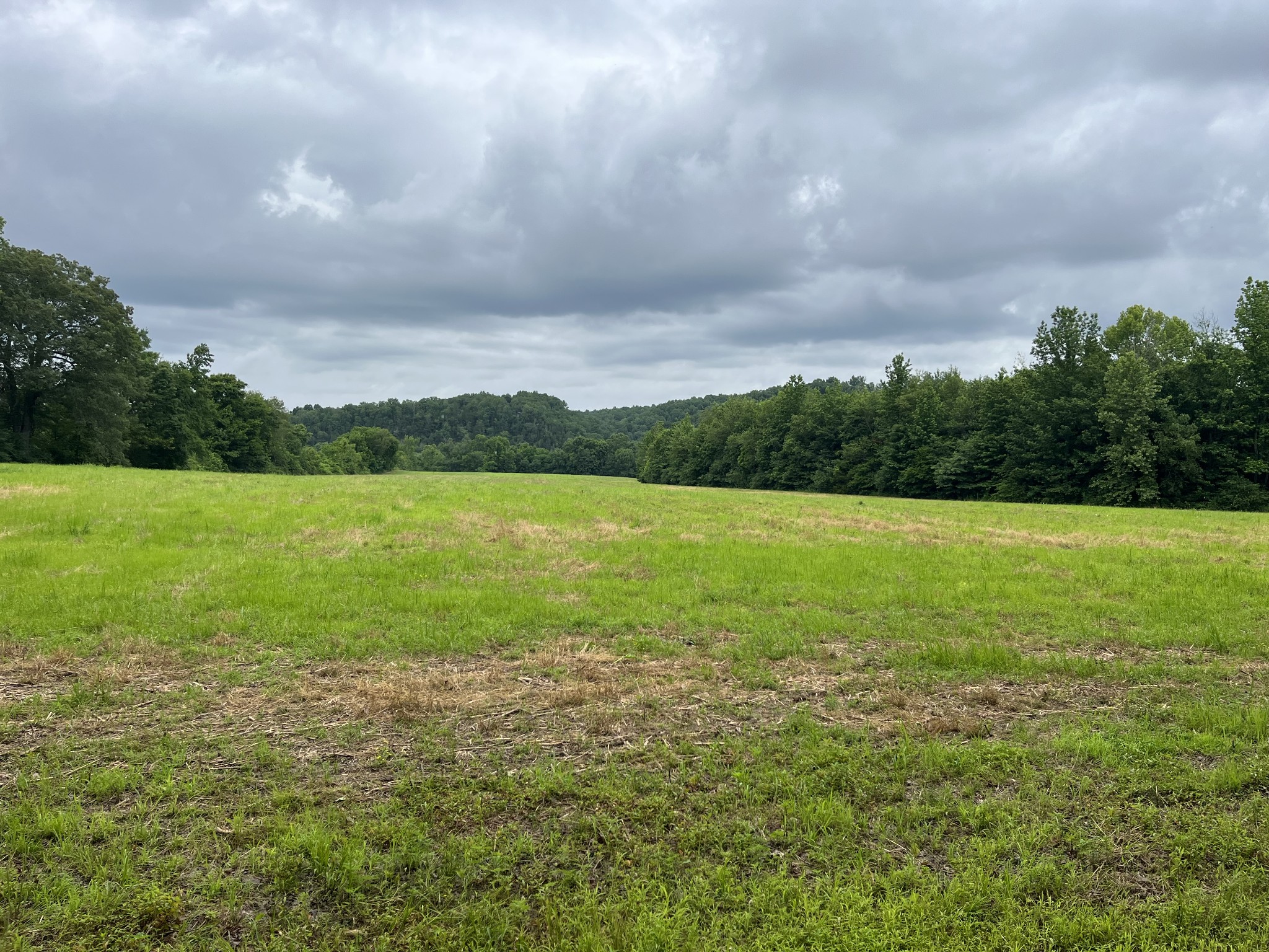 0 Stringfellow Road White Bluff, TN 37187 - Photo 30 of 38