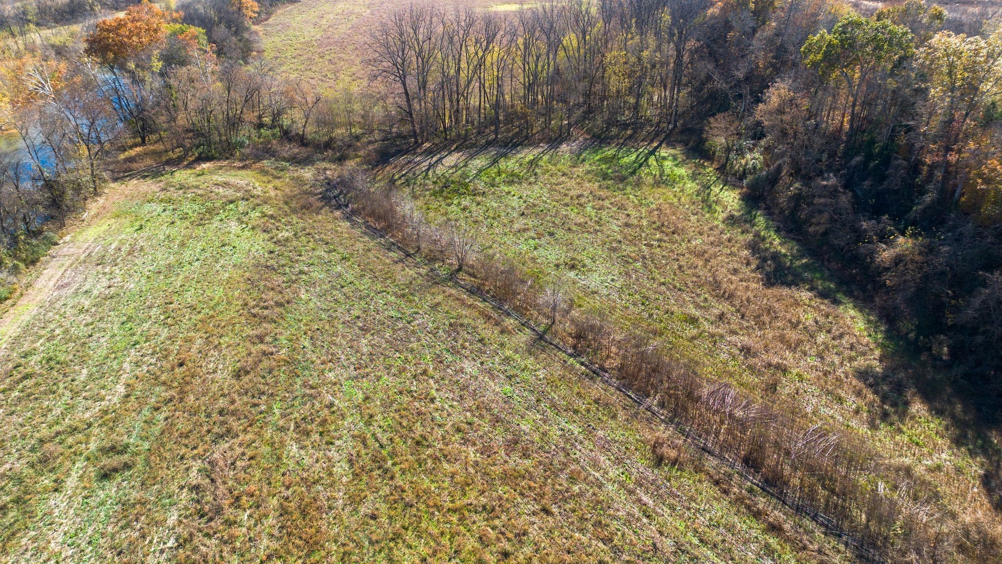 0 Stringfellow Road White Bluff, TN 37187 - Photo 34 of 38