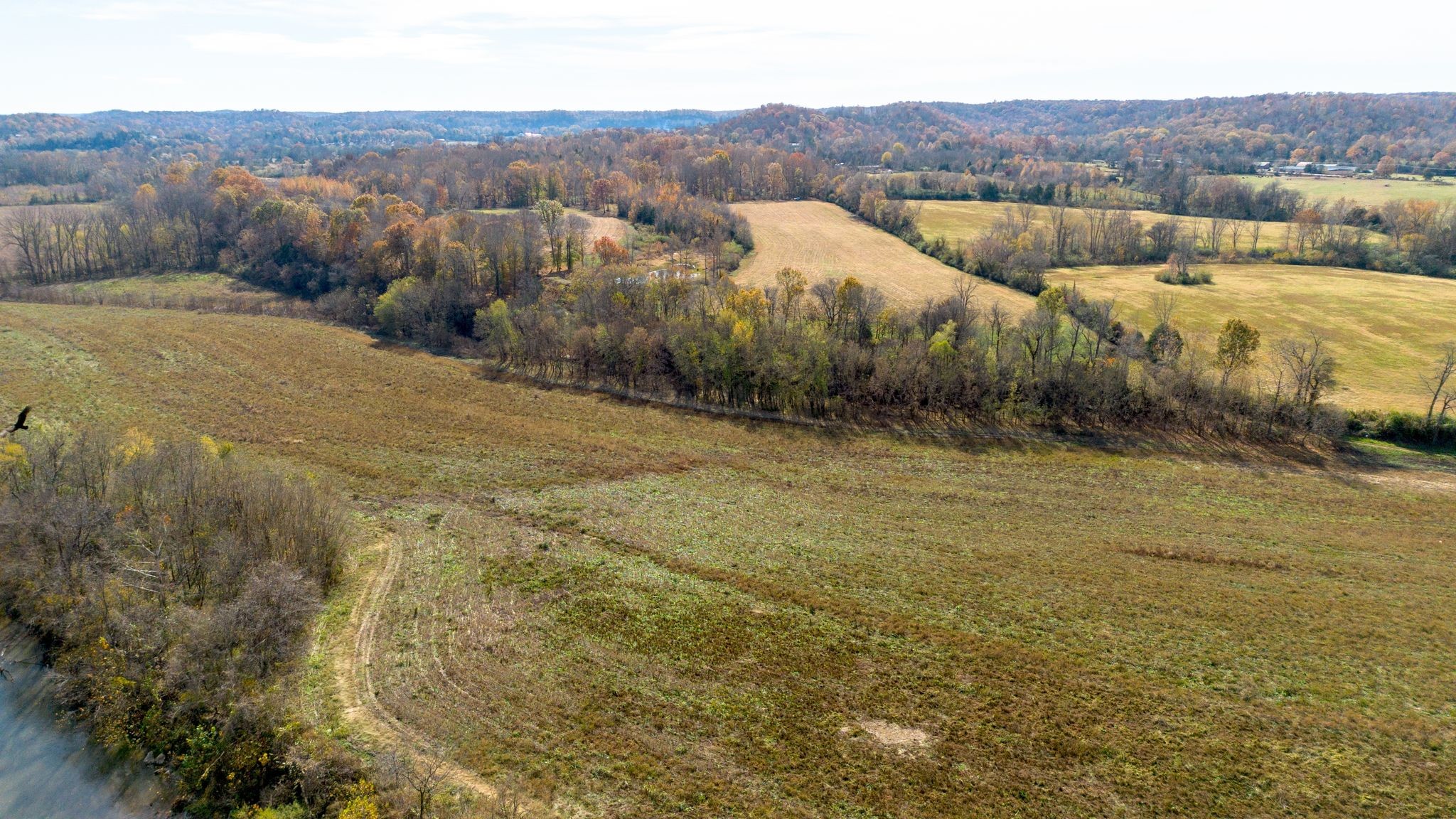 0 Stringfellow Road White Bluff, TN 37187 - Photo 35 of 38