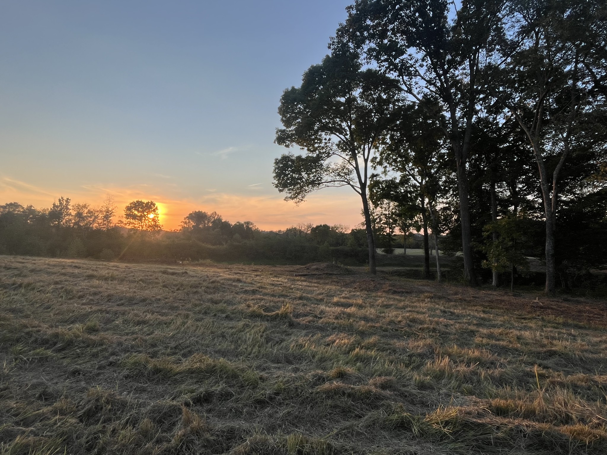 0 Stringfellow Road White Bluff, TN 37187 - Photo 37 of 38