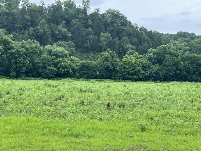 $1,025,000 | 0 Stringfellow Road, White Bluff, TN 37187