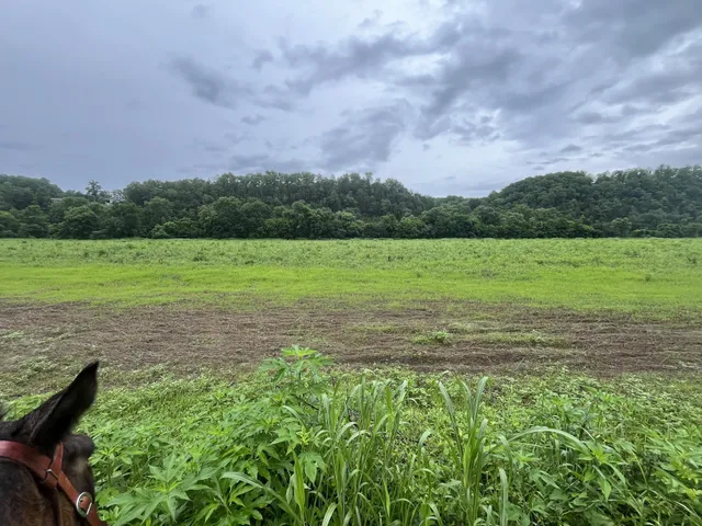 $1,025,000 | 0 Stringfellow Road, White Bluff, TN 37187