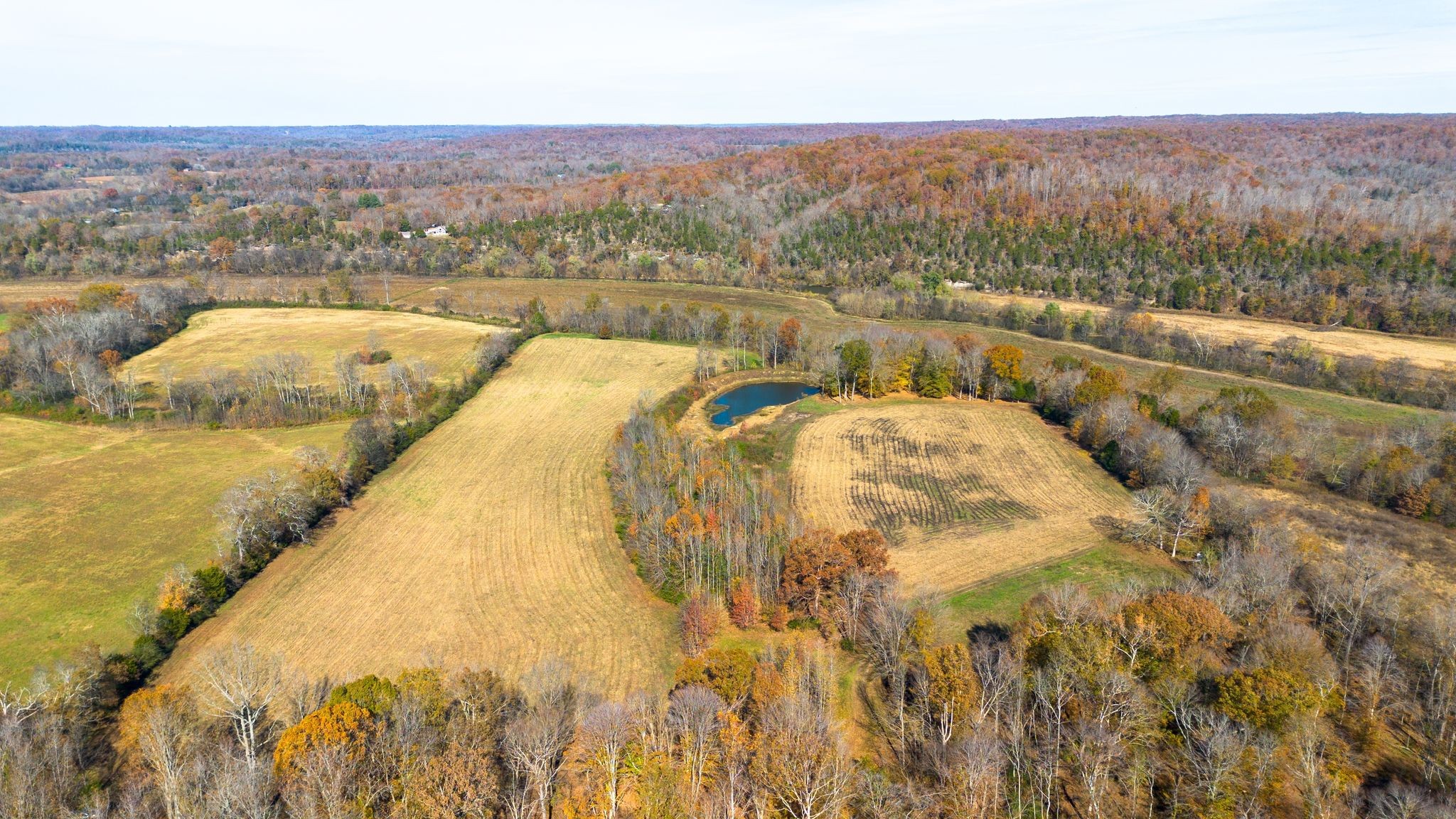 0 Stringfellow Road White Bluff, TN 37187 - Photo 5 of 38