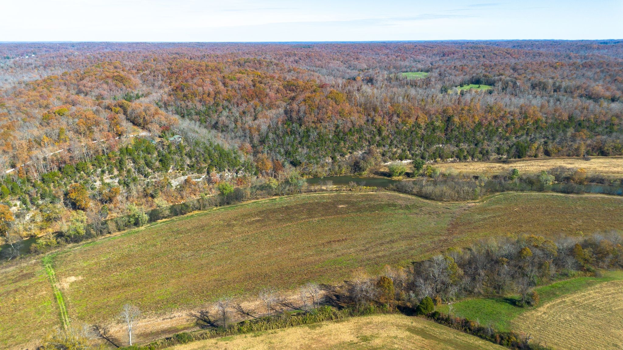 0 Stringfellow Road White Bluff, TN 37187 - Photo 7 of 38