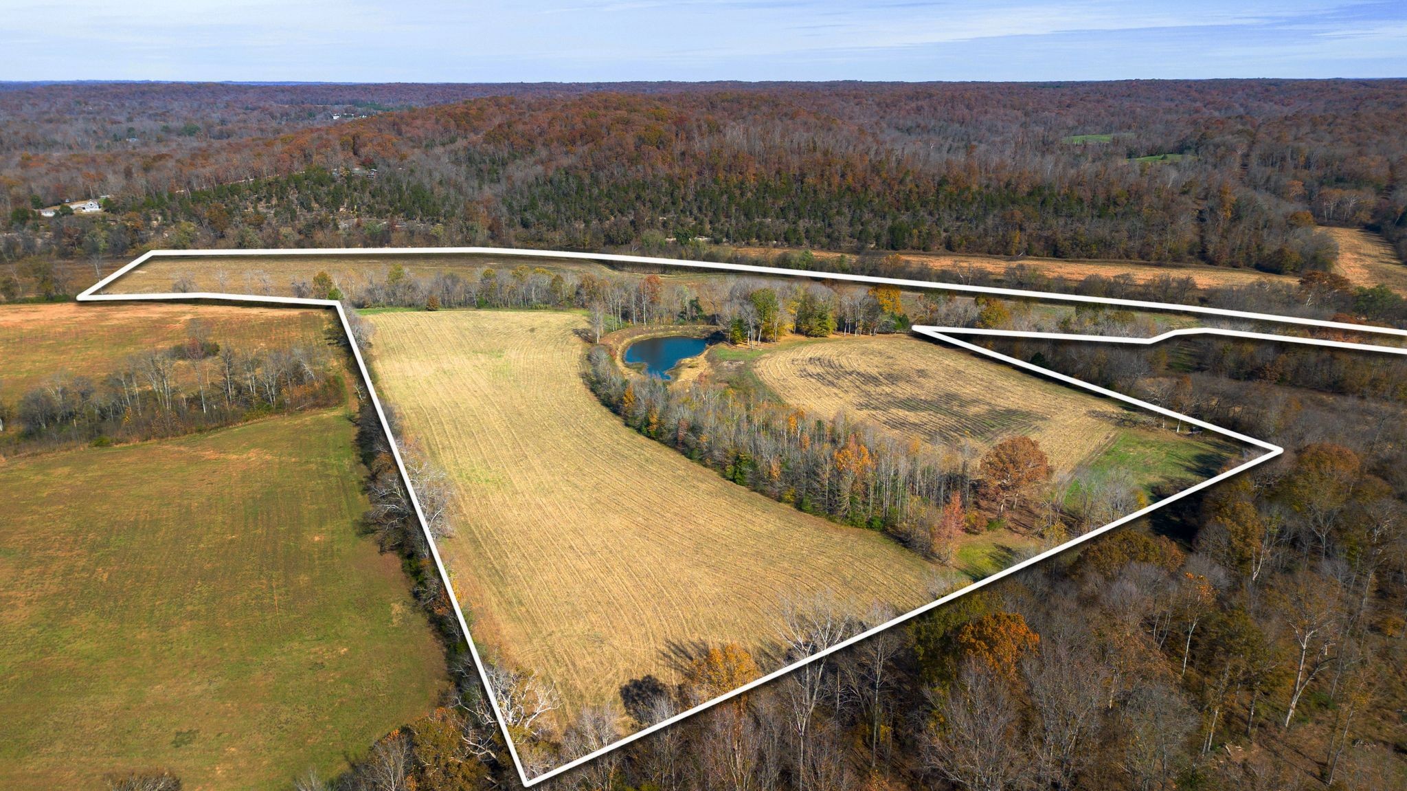 0 Stringfellow Road White Bluff, TN 37187 - Photo 10 of 38