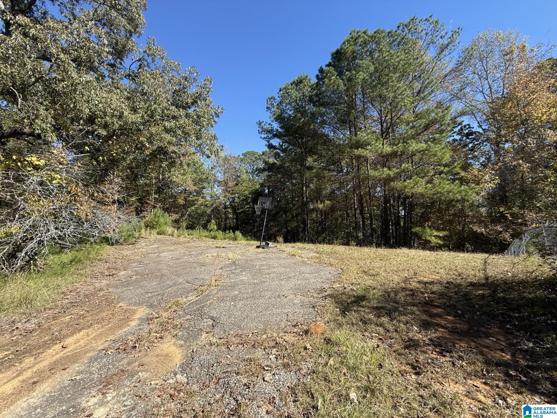 655 Buddy Vines Camp Road, Unit 1 Bessemer, AL 35023 - Photo 5 of 9