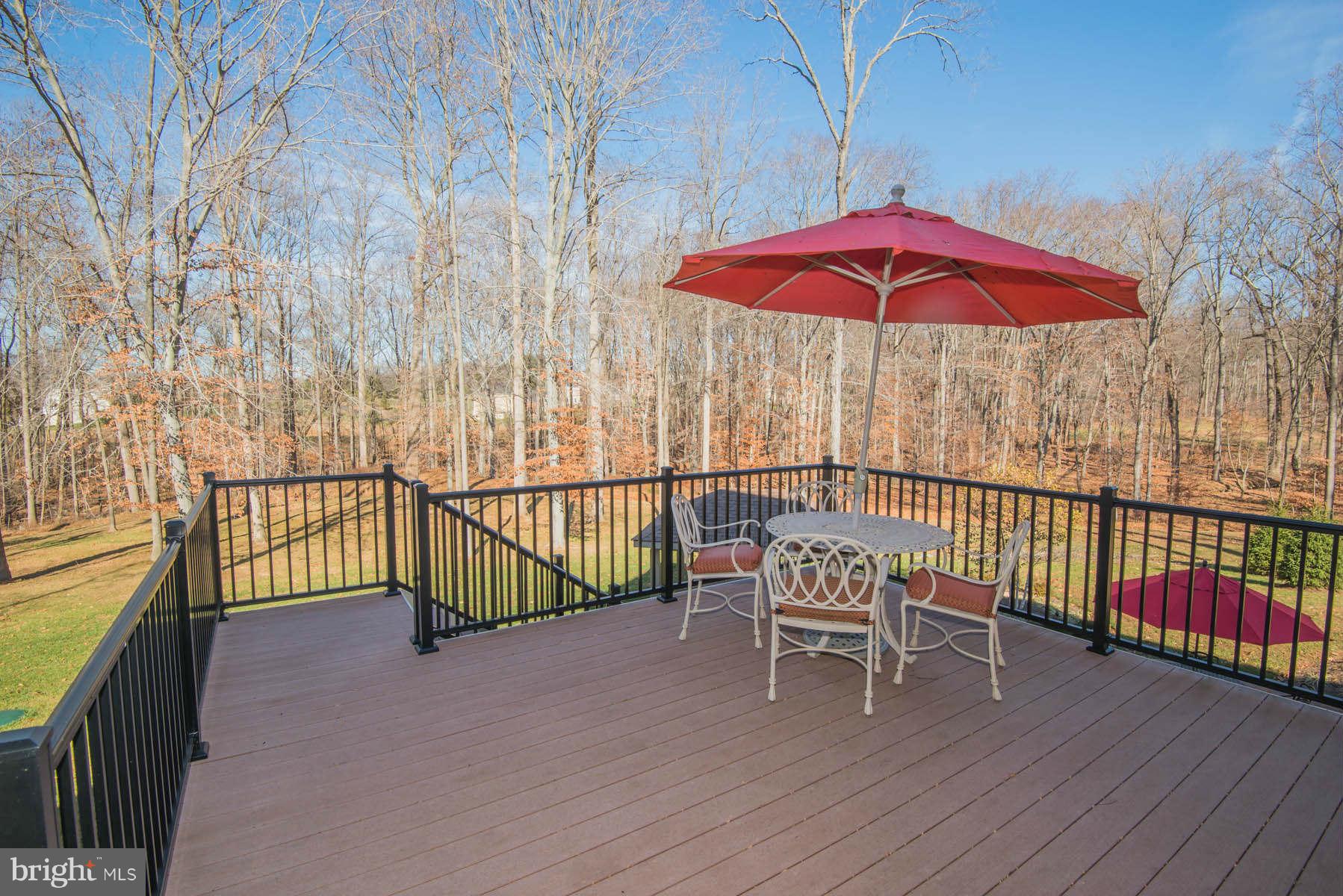 4805 Castlebridge Road Ellicott City, MD 21042 - Photo 14 of 30 Deck