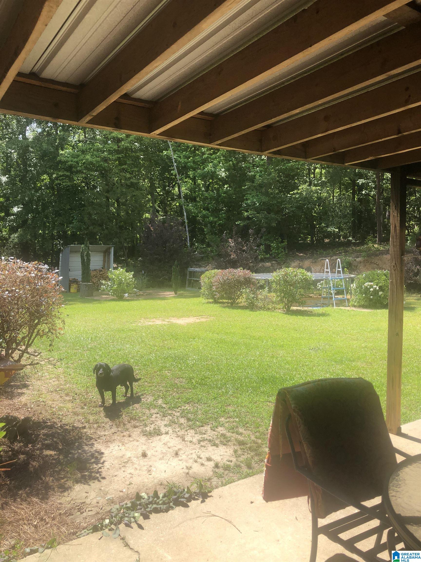 453 County Road 252 Clanton, AL 35046 - Photo 30 of 31