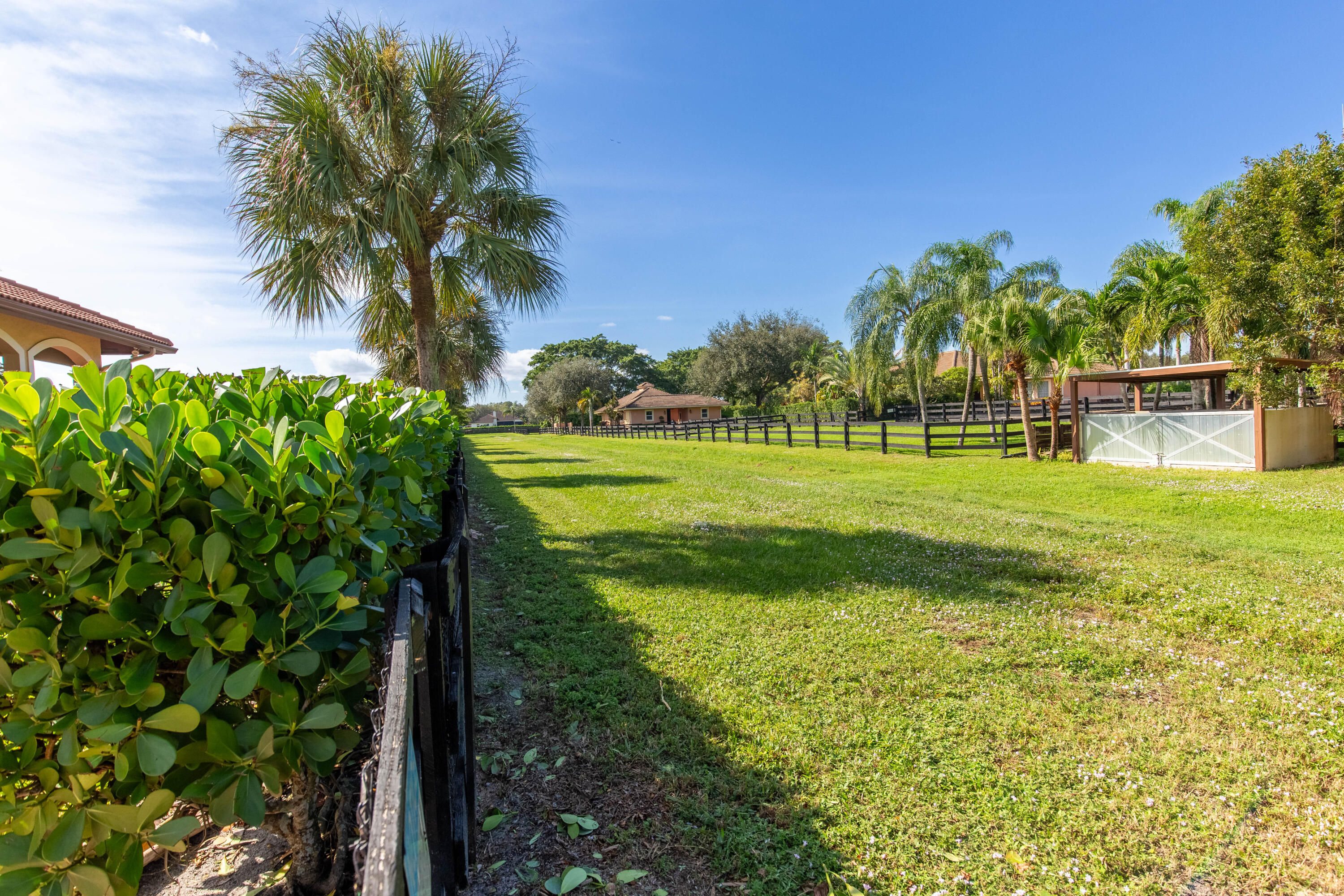 14943 Paddock Drive, Unit STALLS AND ) Wellington, FL 33414 - Photo 25 of 41 a view of a park with a palm tree