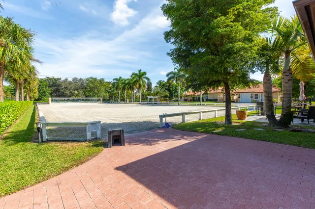a view of a garden with palm trees