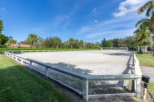 a view of a yard with palm trees