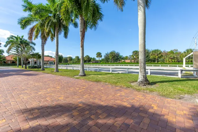 a street with a yard and palm trees