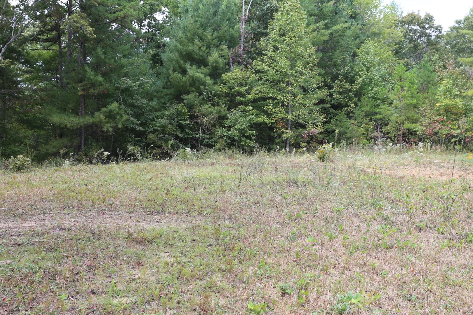 81 Holloway Ridge Road Spring City, TN 37381 - Photo 1 of 9 1