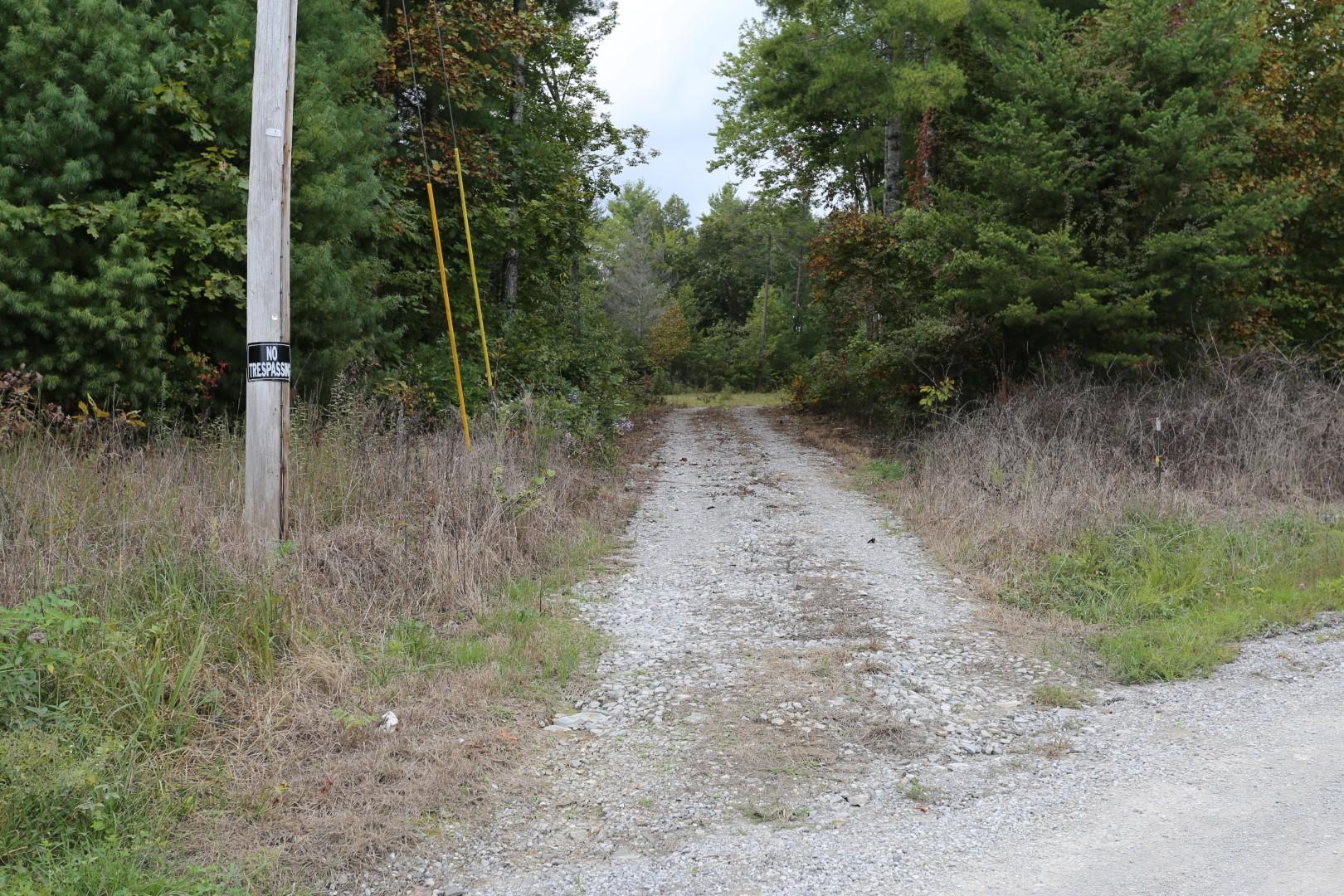 81 Holloway Ridge Road Spring City, TN 37381 - Photo 3 of 9 3