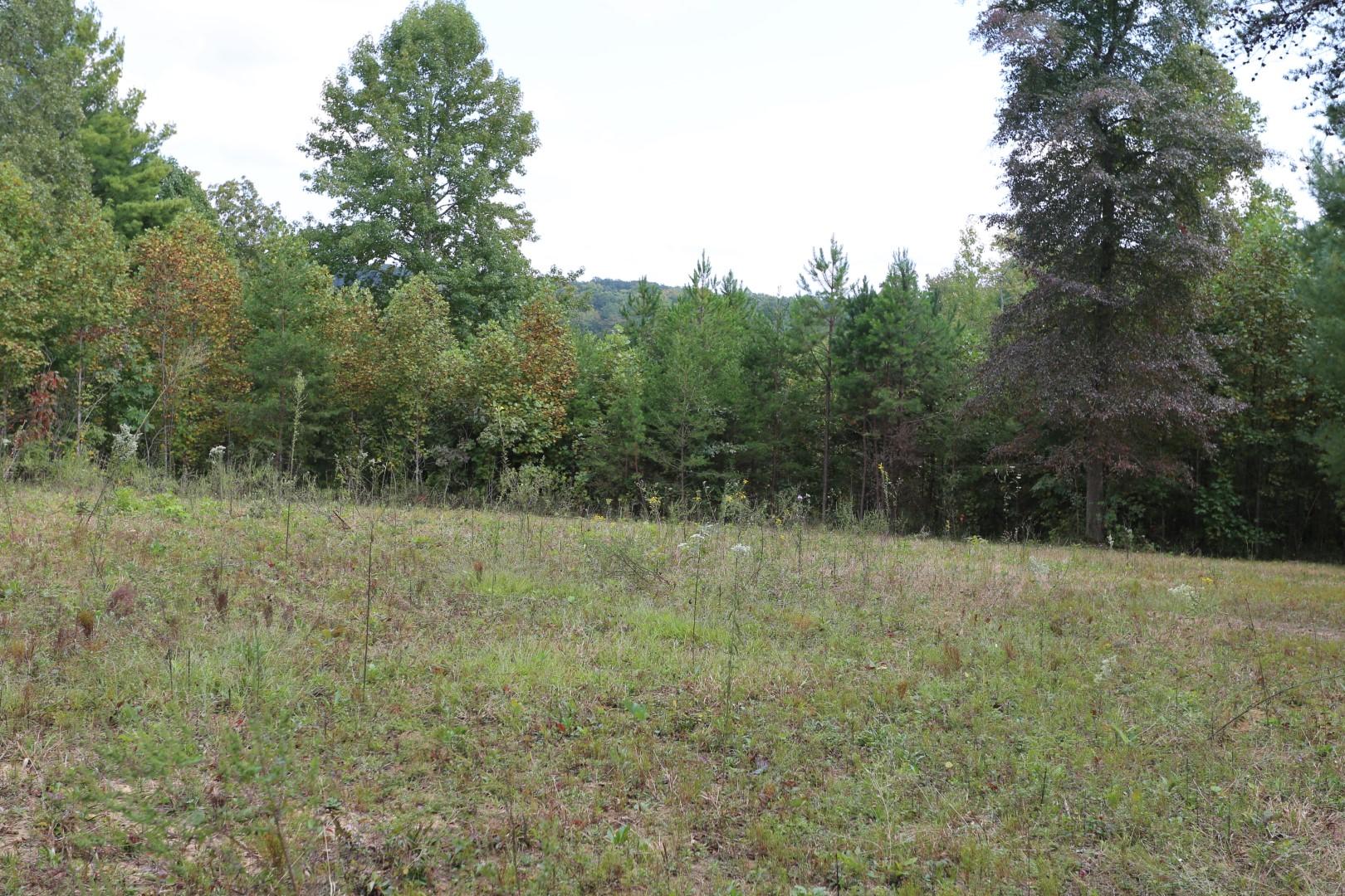 81 Holloway Ridge Road Spring City, TN 37381 - Photo 5 of 9 5