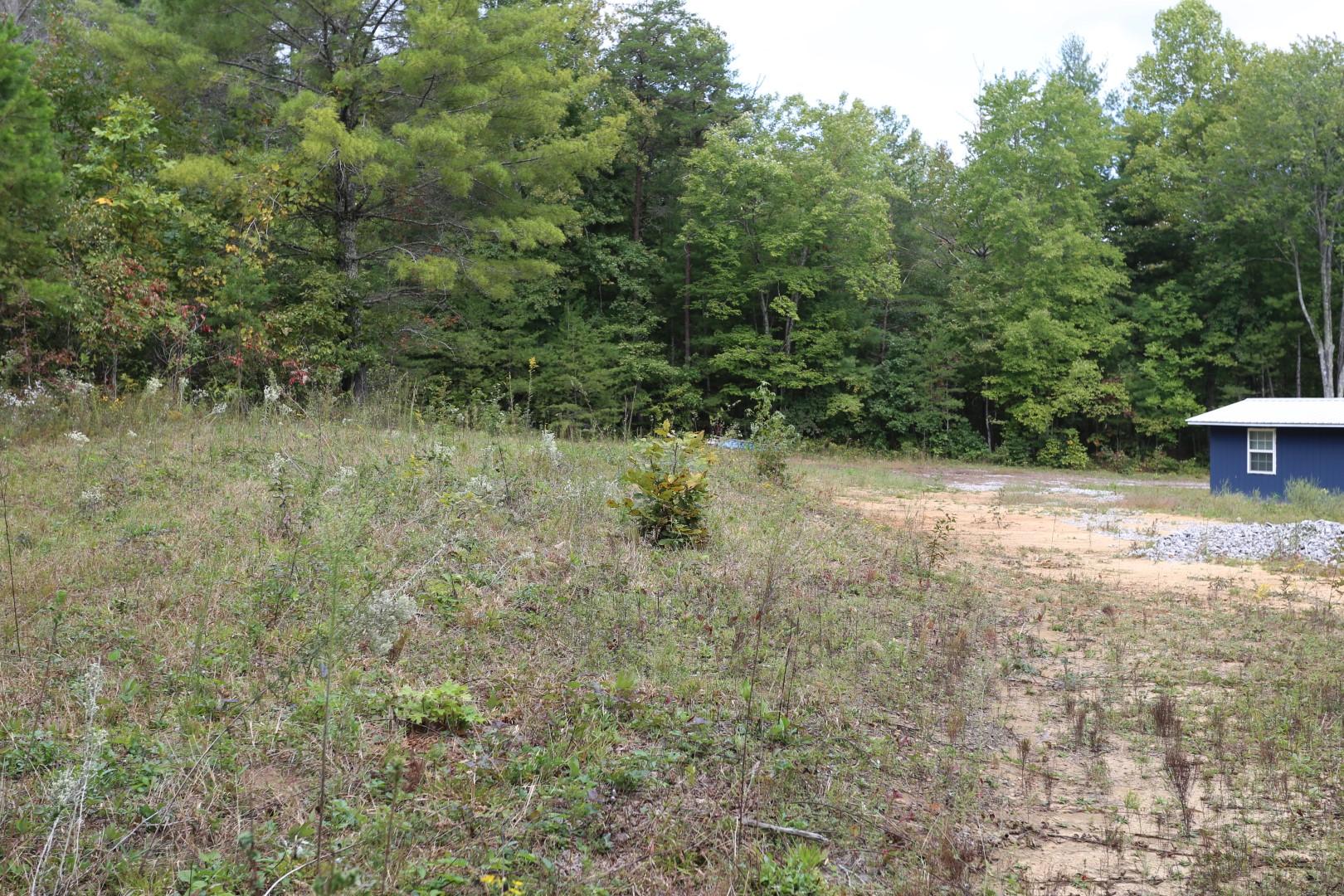 81 Holloway Ridge Road Spring City, TN 37381 - Photo 7 of 9 7