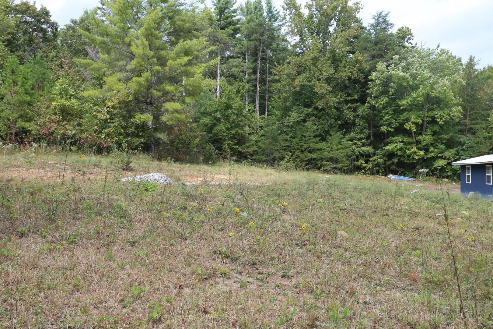 81 Holloway Ridge Road Spring City, TN 37381 - Photo 8 of 9 8