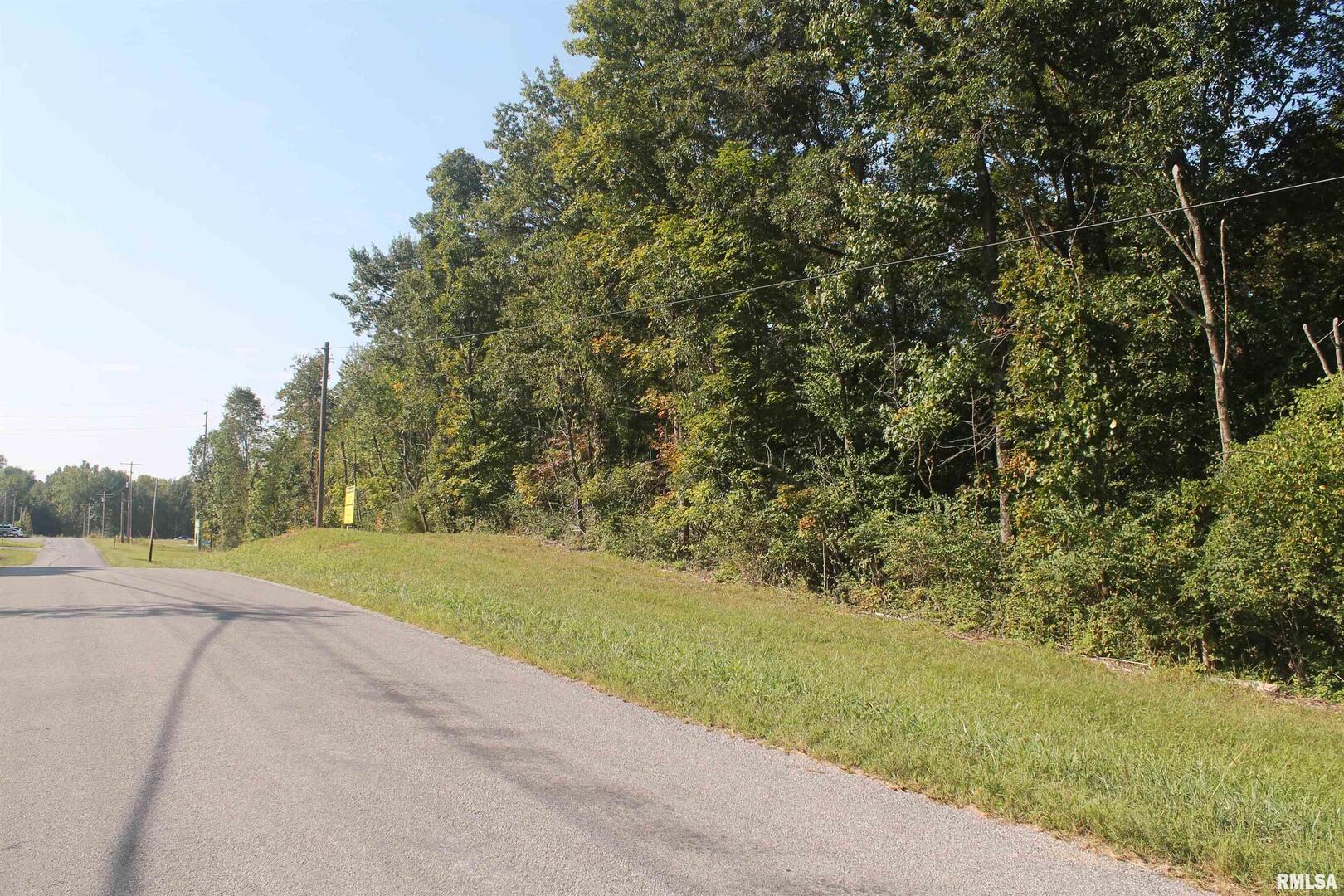0 North County Line Road Carbondale, IL 62901 - Photo 1 of 2 a view of a field with trees and grass