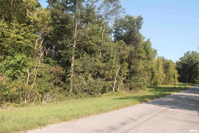 a view of a yard with an trees