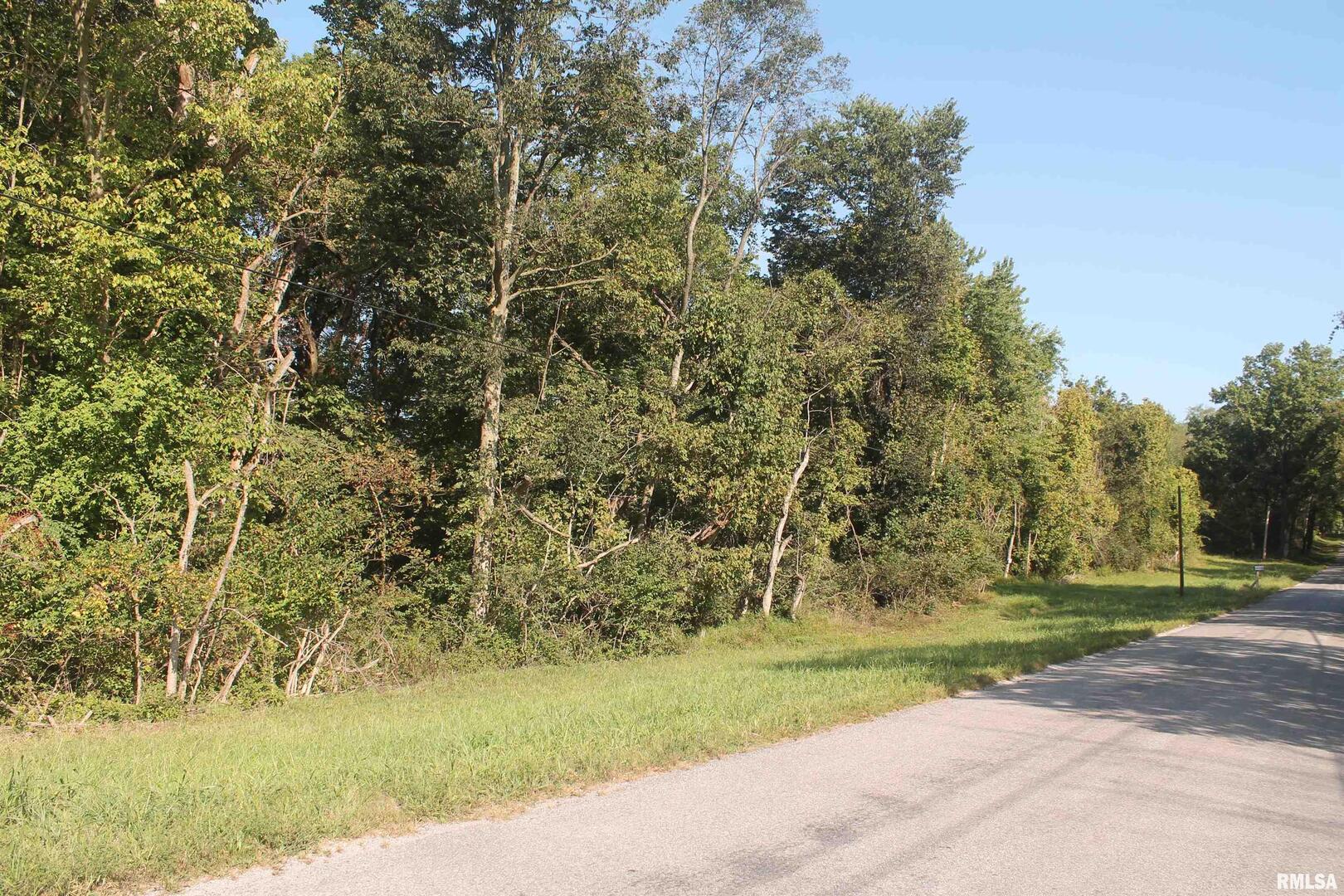 0 North County Line Road Carbondale, IL 62901 - Photo 2 of 2 a view of a yard with an trees