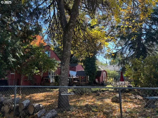 a view of a yard with plants and large trees
