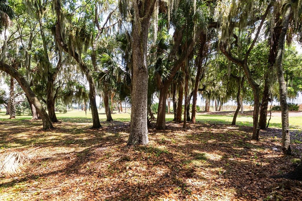 Tbd Deer Island Road Tavares, FL 32778 - Photo 12 of 36