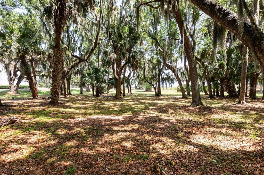 Tbd Deer Island Road Tavares, FL 32778 - Photo 14 of 36