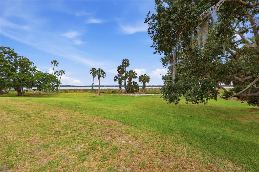 Tbd Deer Island Road Tavares, FL 32778 - Photo 16 of 36
