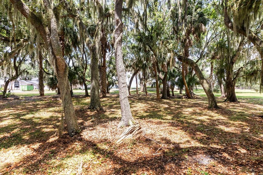 Tbd Deer Island Road Tavares, FL 32778 - Photo 17 of 36