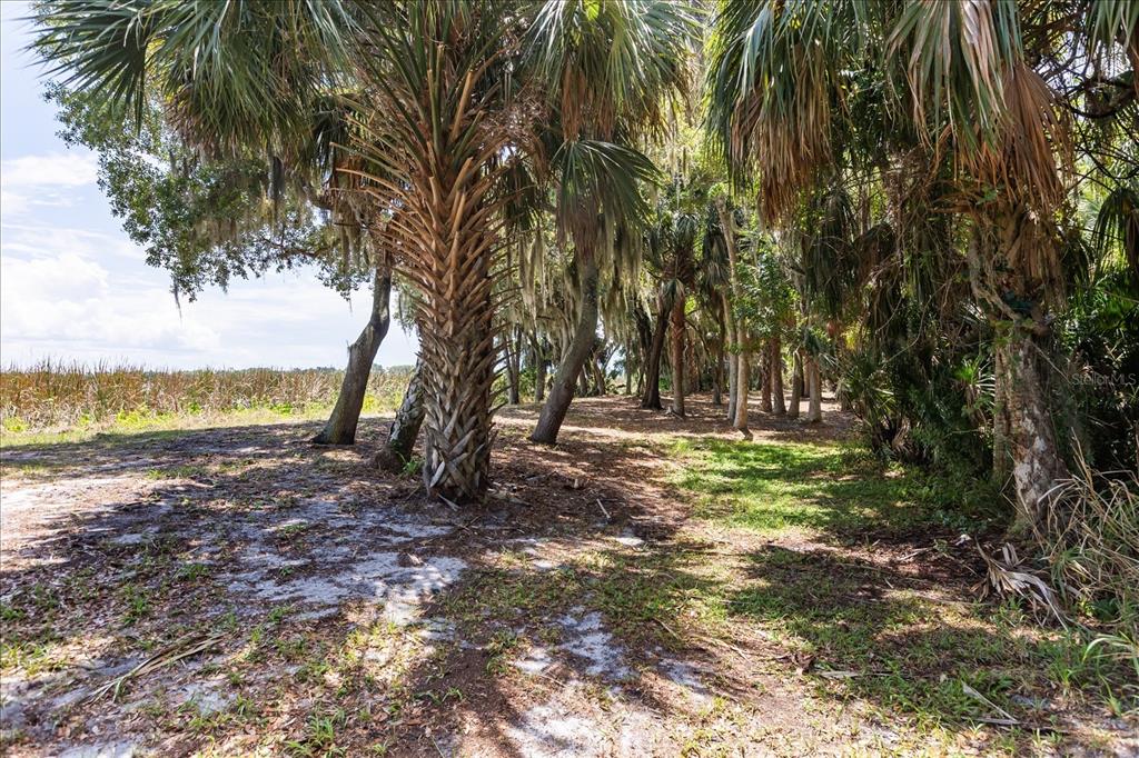 Tbd Deer Island Road Tavares, FL 32778 - Photo 19 of 36