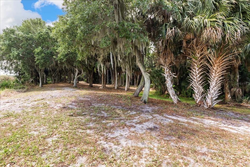 Tbd Deer Island Road Tavares, FL 32778 - Photo 21 of 36