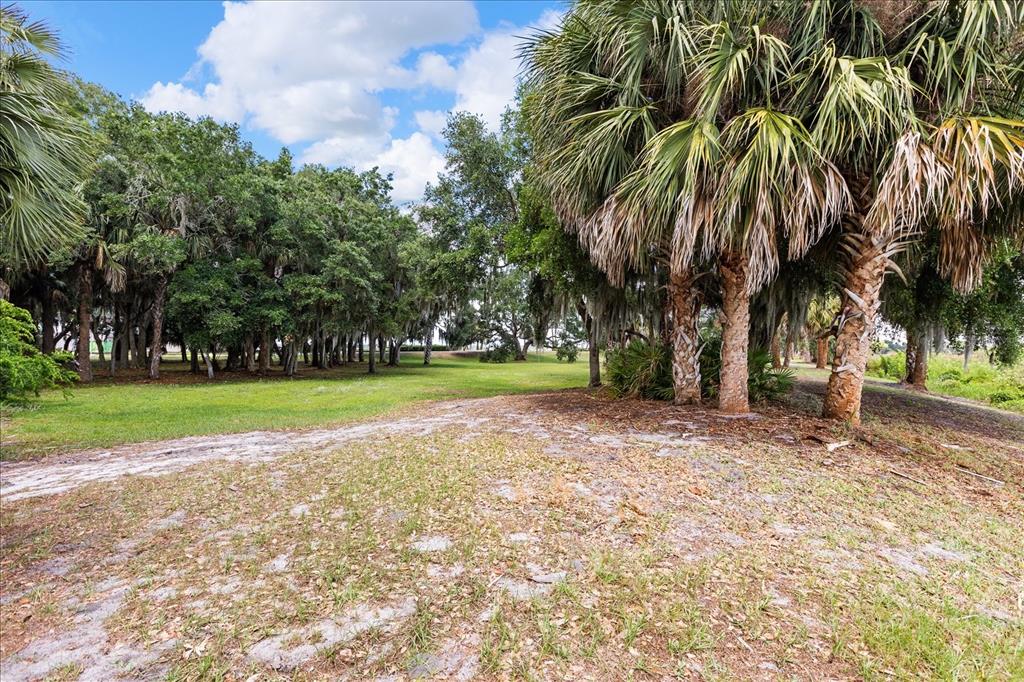 Tbd Deer Island Road Tavares, FL 32778 - Photo 22 of 36