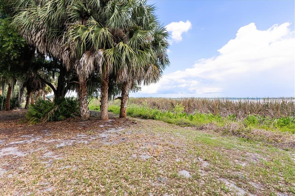Tbd Deer Island Road Tavares, FL 32778 - Photo 23 of 36