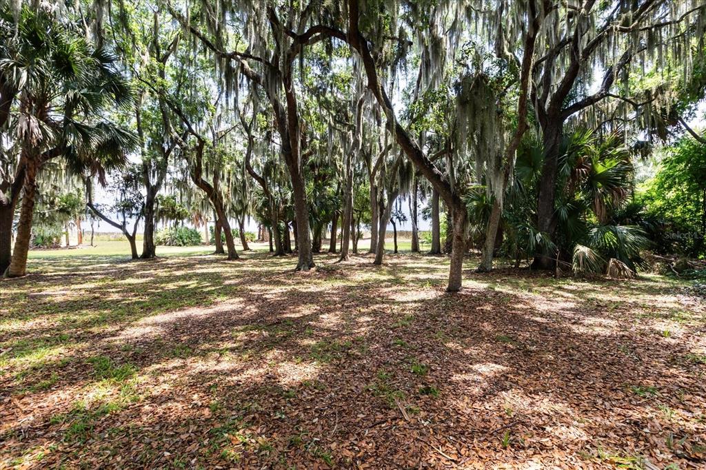 Tbd Deer Island Road Tavares, FL 32778 - Photo 6 of 36