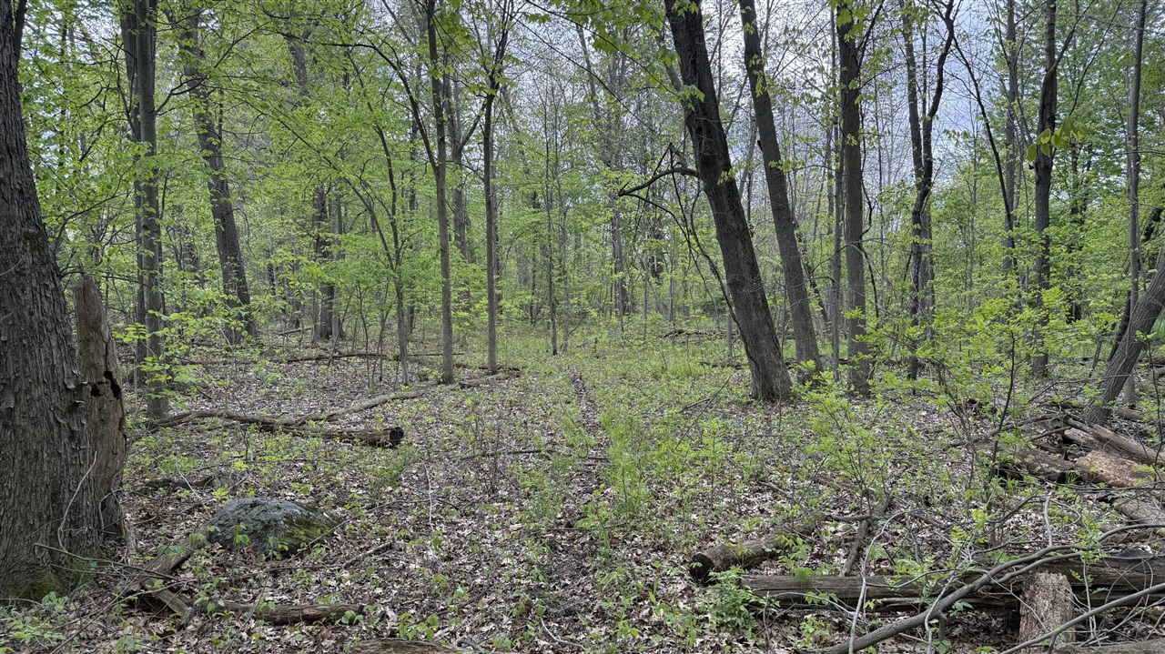 3 Bunkerhill Road Munith, MI 49259 - Photo 16 of 16