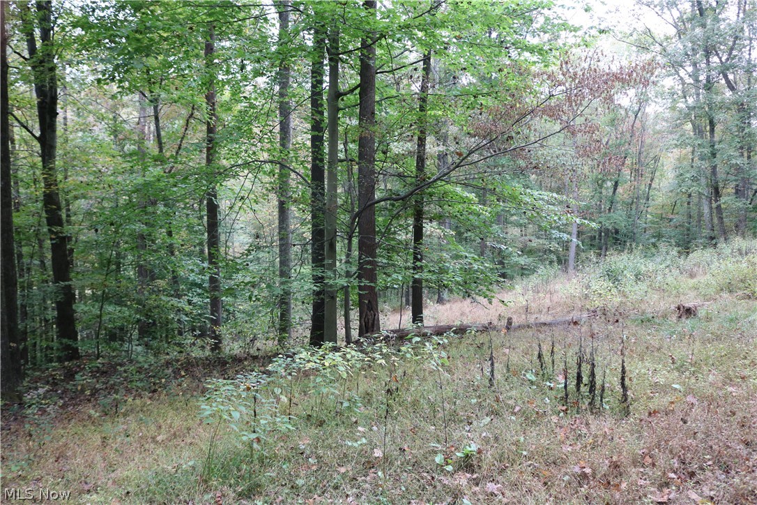 2115 Goss Fork Road Whipple, OH 45788 - Photo 10 of 32 Gallery Image 10