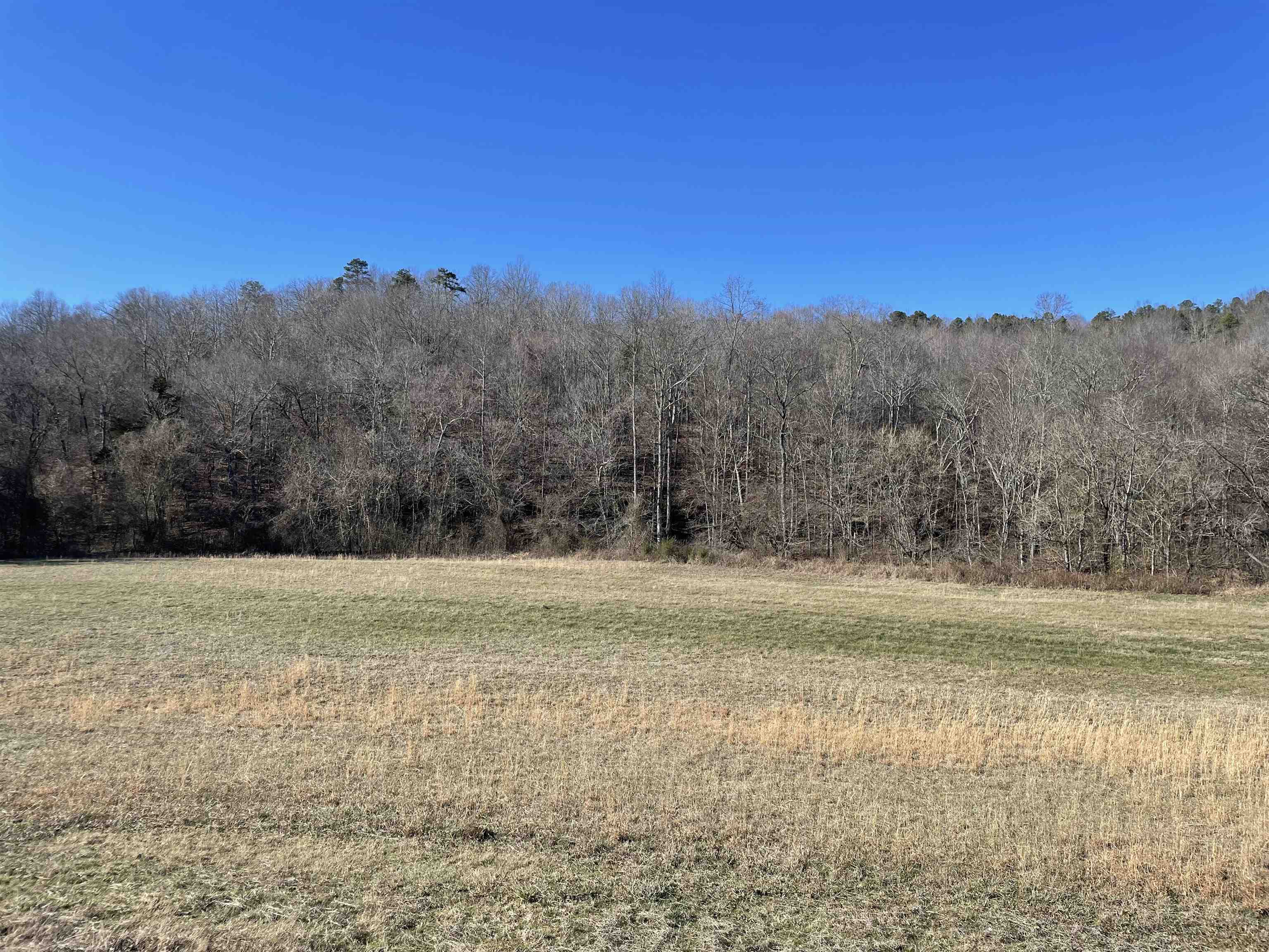 2245 Big Ivy Road Savannah, TN 38372 - Photo 33 of 39