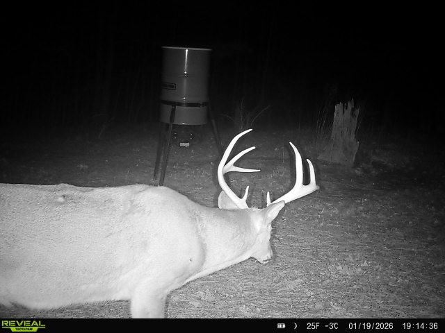 534 Whitney Branch Road Springville, TN 38256 - Photo 50 of 61 Gallery Image 50