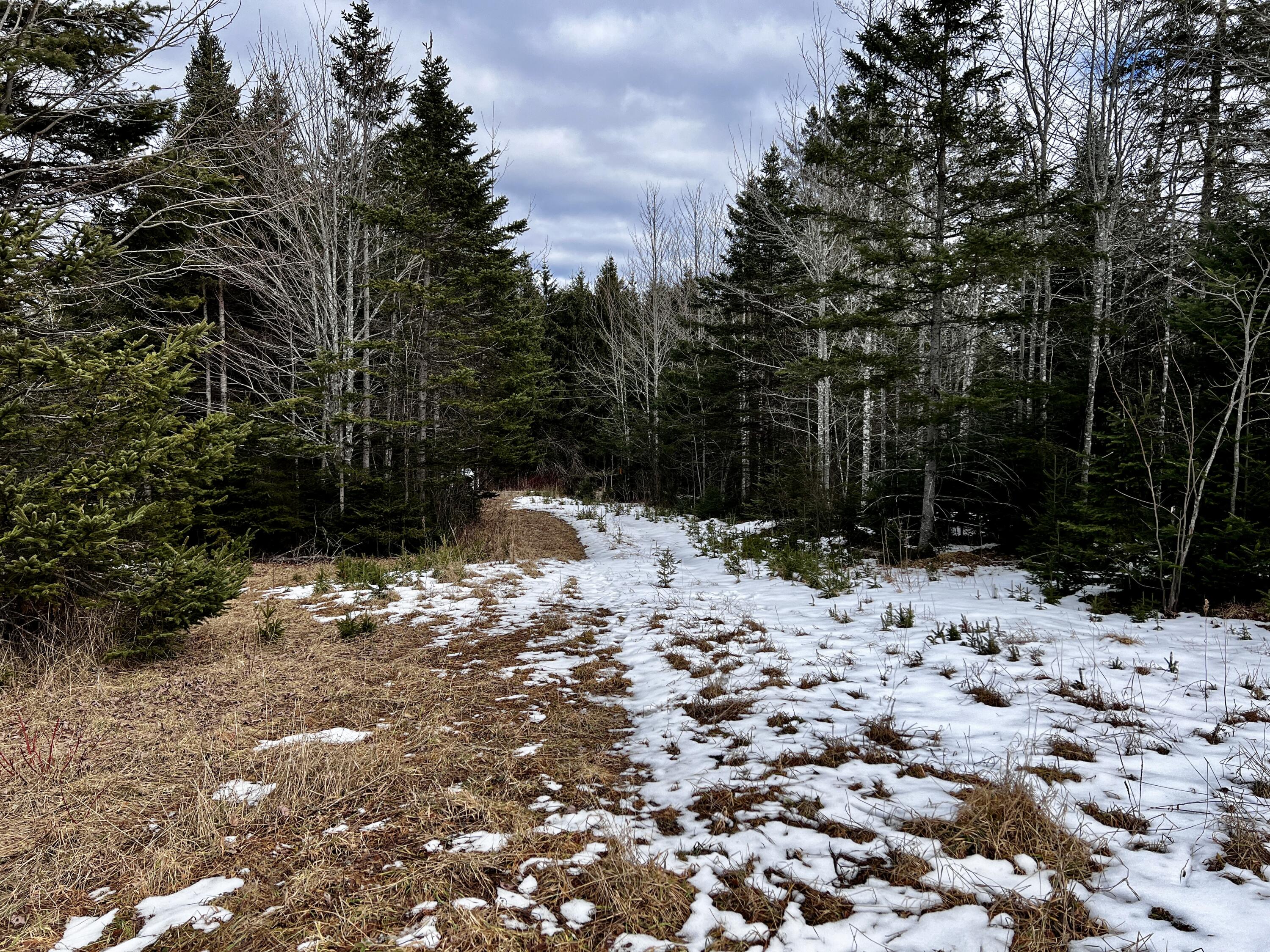 1040 Estabrook Road Amity, ME 04471 - Photo 7 of 17 IMG_0345