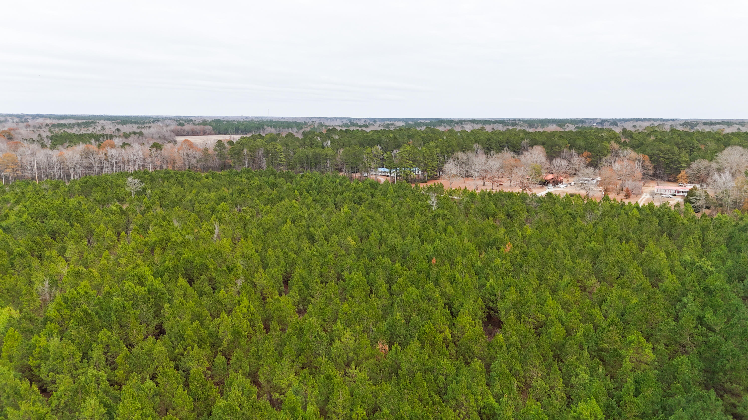 Tbd Tbd Bill Davis Road Summerton, SC 29148 - Photo 9 of 37 Gallery Image 9