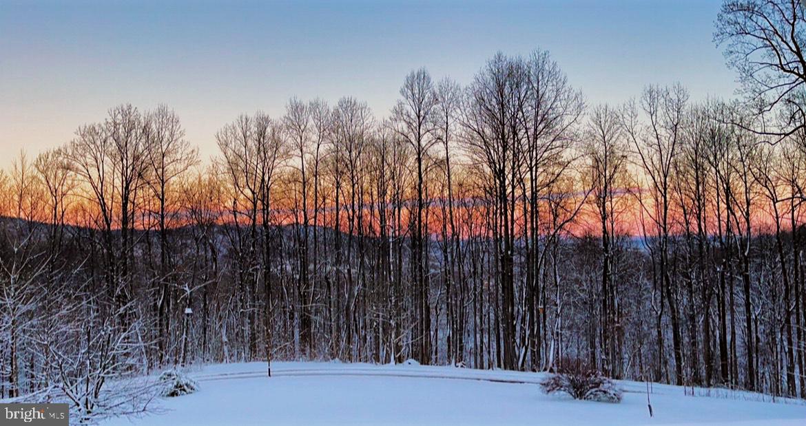 136 Rattlesnake Hollow Lane Huntly, VA 22640 - Photo 27 of 44