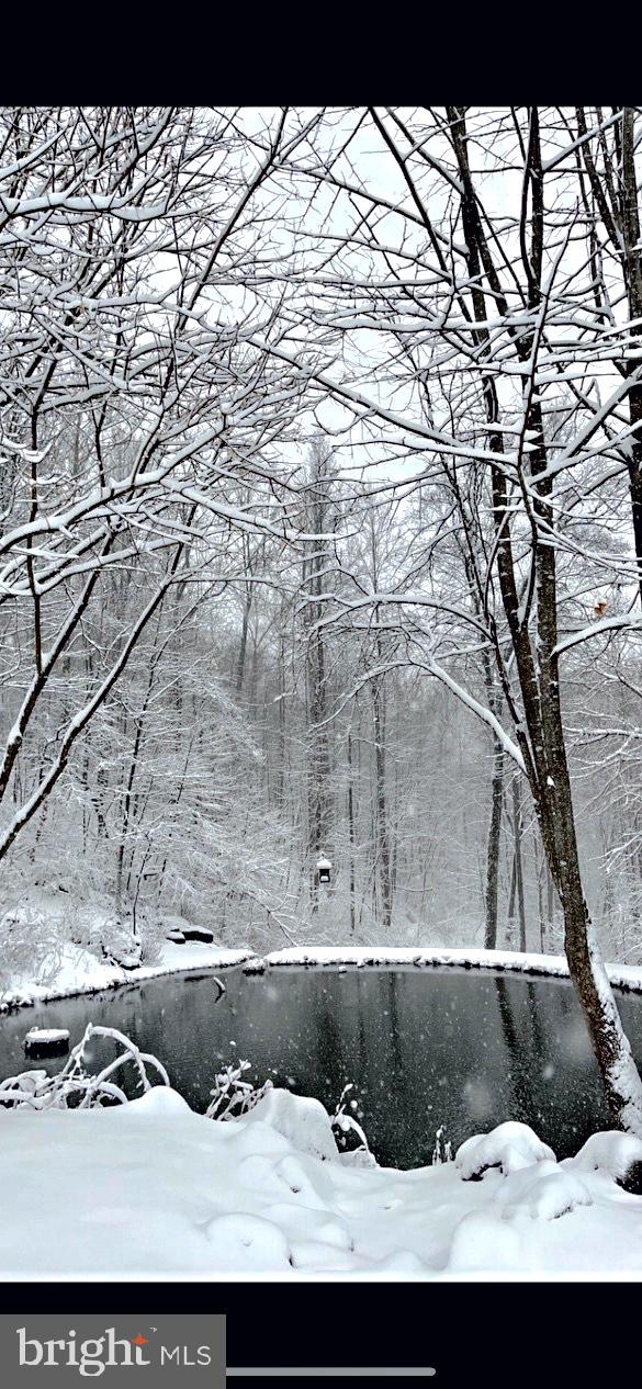 136 Rattlesnake Hollow Lane Huntly, VA 22640 - Photo 28 of 44