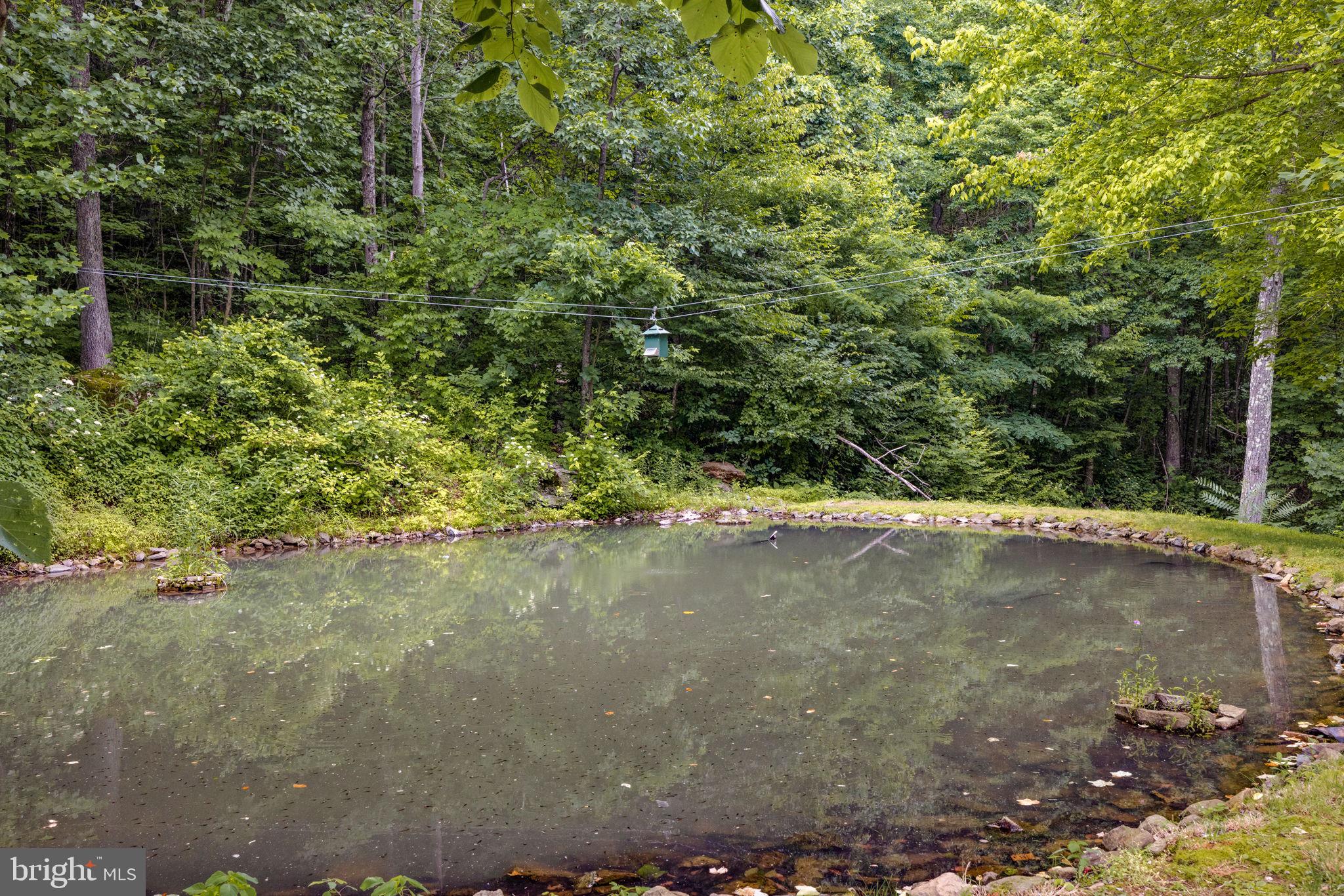 136 Rattlesnake Hollow Lane Huntly, VA 22640 - Photo 29 of 44