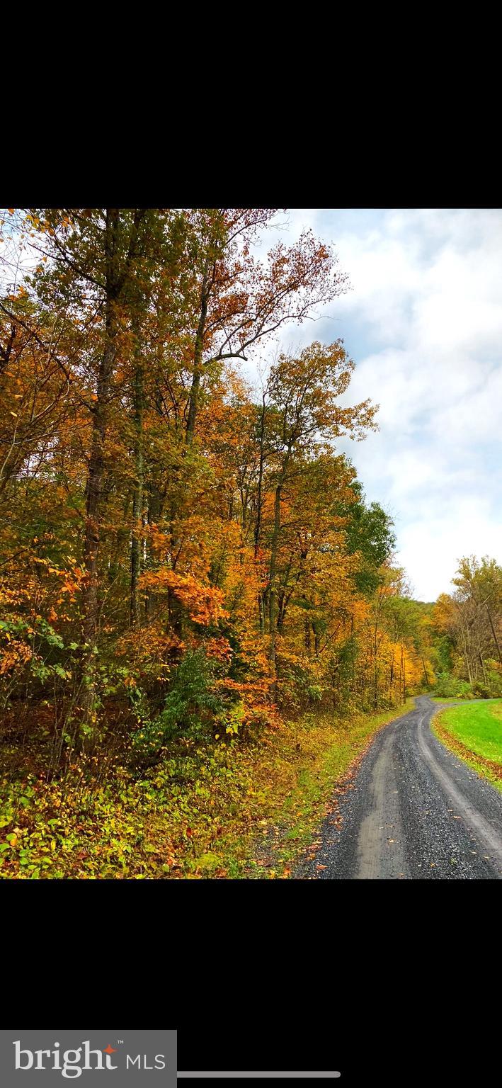 136 Rattlesnake Hollow Lane Huntly, VA 22640 - Photo 43 of 44