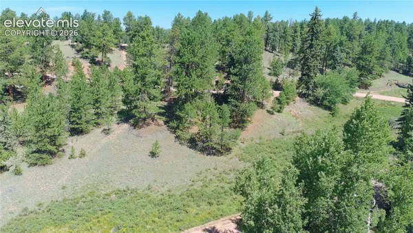 $11,000 | 787 Spring Valley Lane, Florissant, CO 80816