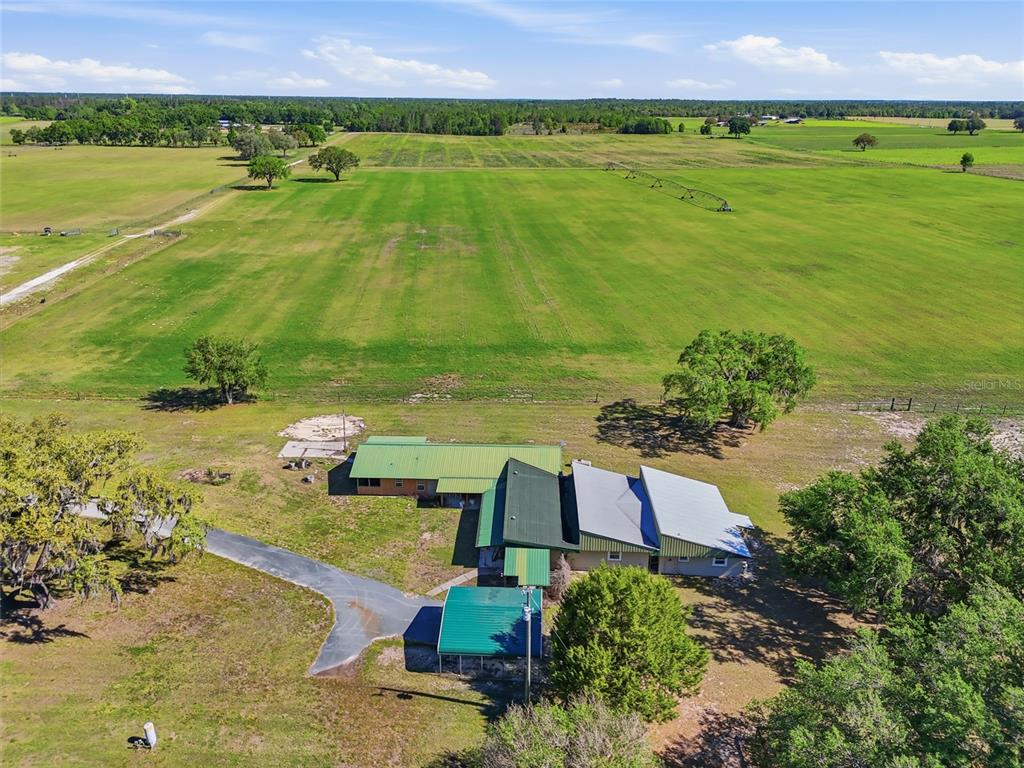 11131 Northeast 35th Street Bronson, FL 32621 - Photo 94 of 99