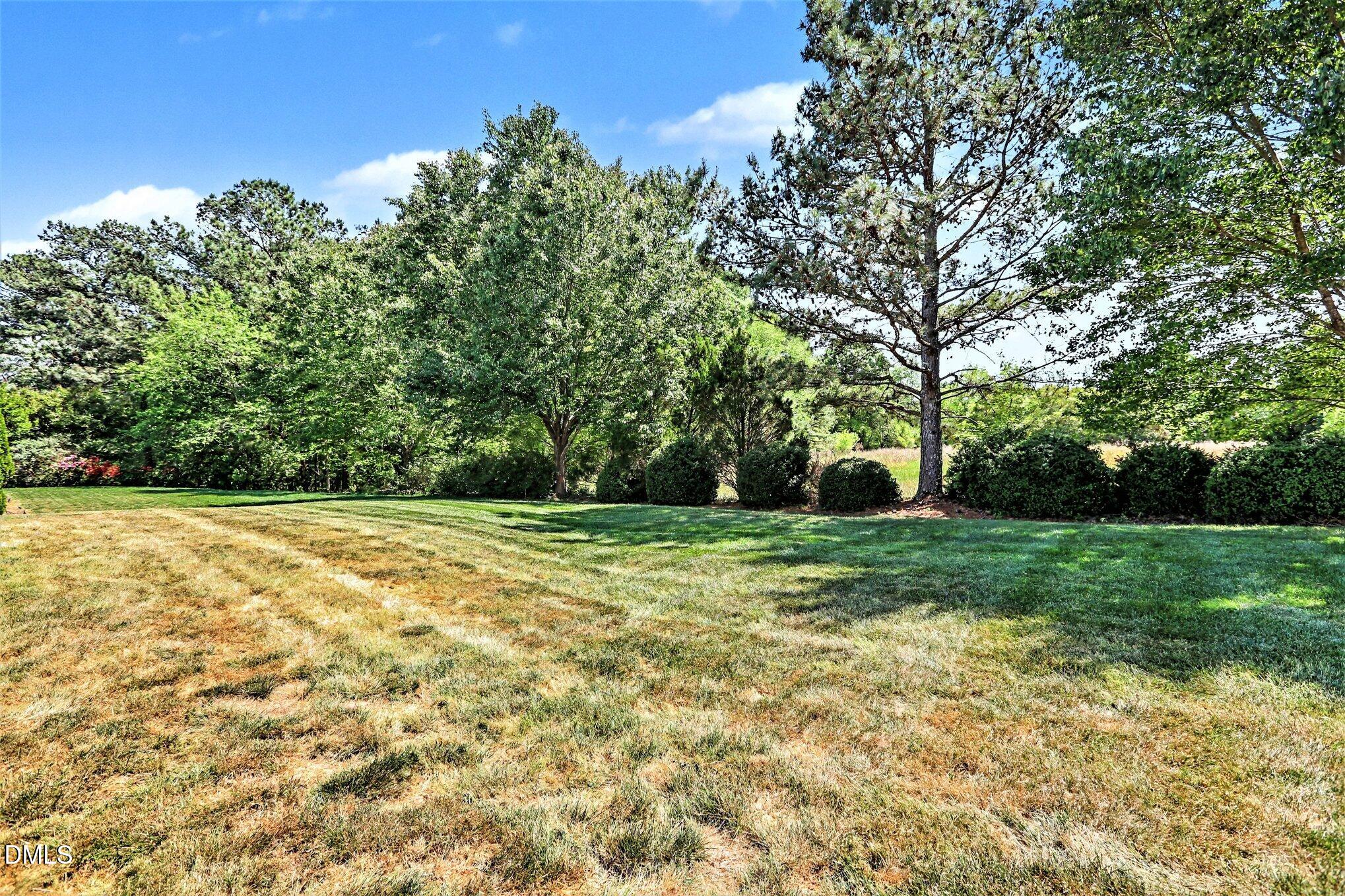 437 Field Glow Lane Apex, NC 27539 - Photo 38 of 48 a view of a backyard