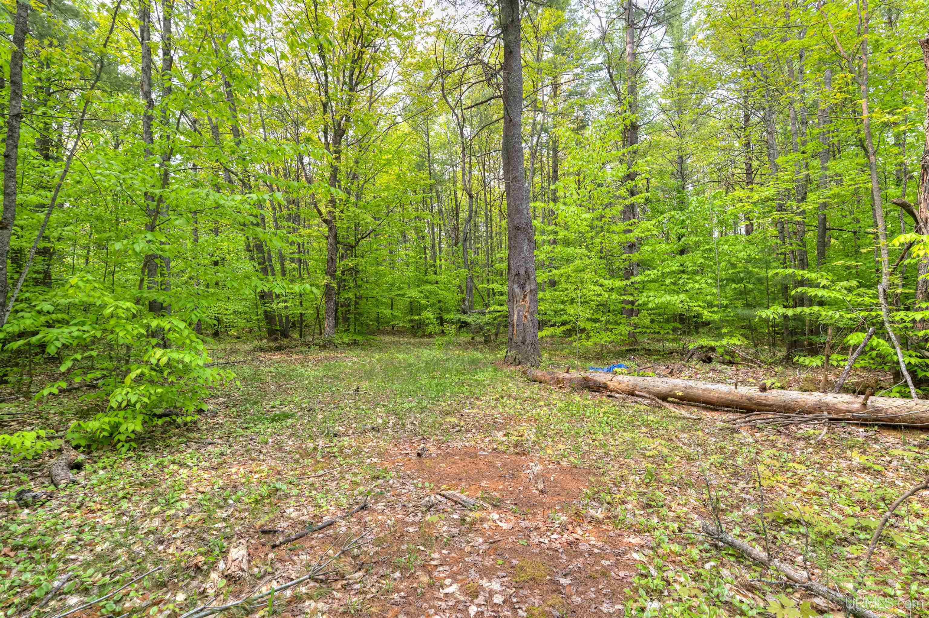 11042 West Lilly Lake Road Manistique, MI 49854 - Photo 8 of 12