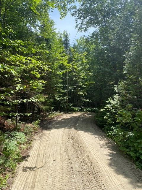 Lot Cl29 Lot Cl29 Cozy Corner Millinocket, ME 04462 - Photo 21 of 28 Camp Rd