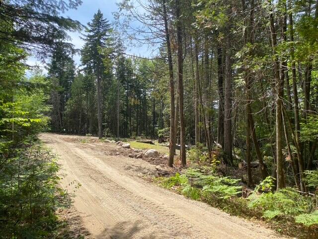 Lot Cl29 Lot Cl29 Cozy Corner Millinocket, ME 04462 - Photo 23 of 28 Camp Rd 3